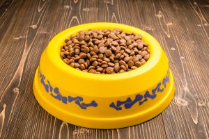 best dog food canadian